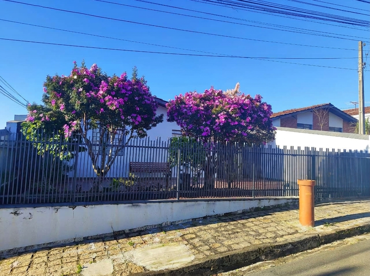 Fachada Frontal Limpa