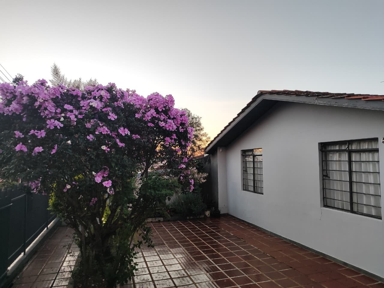 Pátio e Jardim Interno
